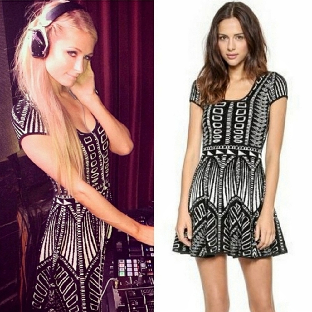 Torn By Ronny Kobo Vivienne Y2K Jacquard Knit Mini Dress - Picture 1 of 11